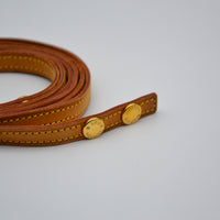 Pochette Louis Vuitton Twin GM Monogram