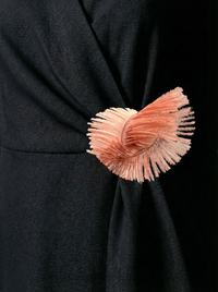 Broche Nautilus en Plumes