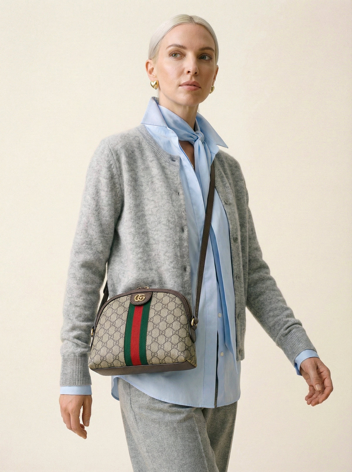 Sac Gucci Ophidia GG